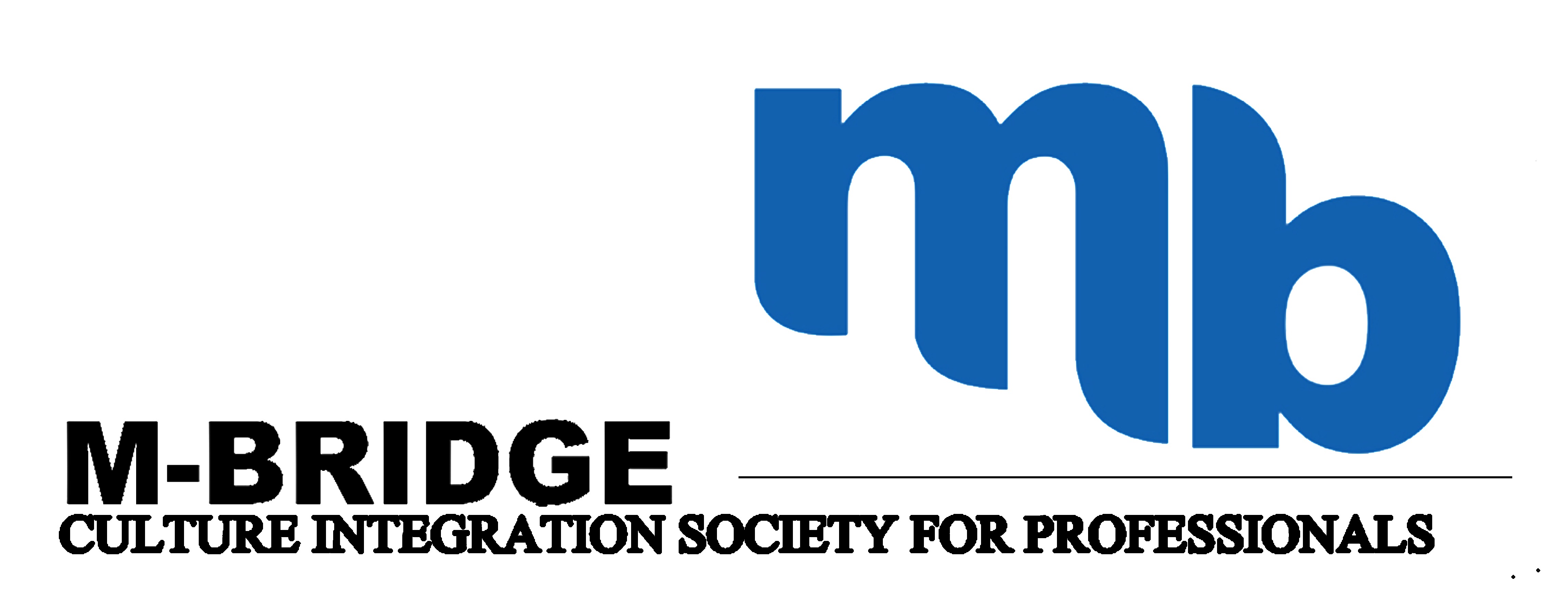 M-Bridge Integration Society for Professionals