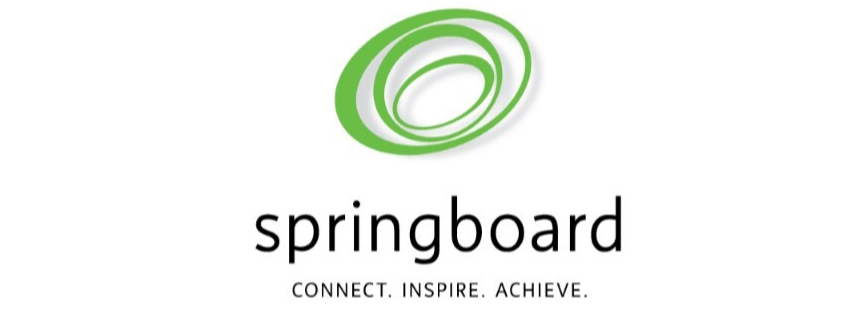 Discover Ability Springboard
